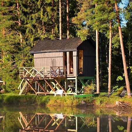 Dragon House In The Tree! Jacuzzi, Sauna ,Cinema,Heated Lici  外观 照片