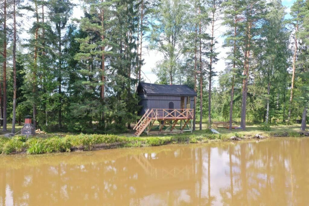 Dragon House In The Tree! Jacuzzi, Sauna ,Cinema,Heated Lici  外观 照片