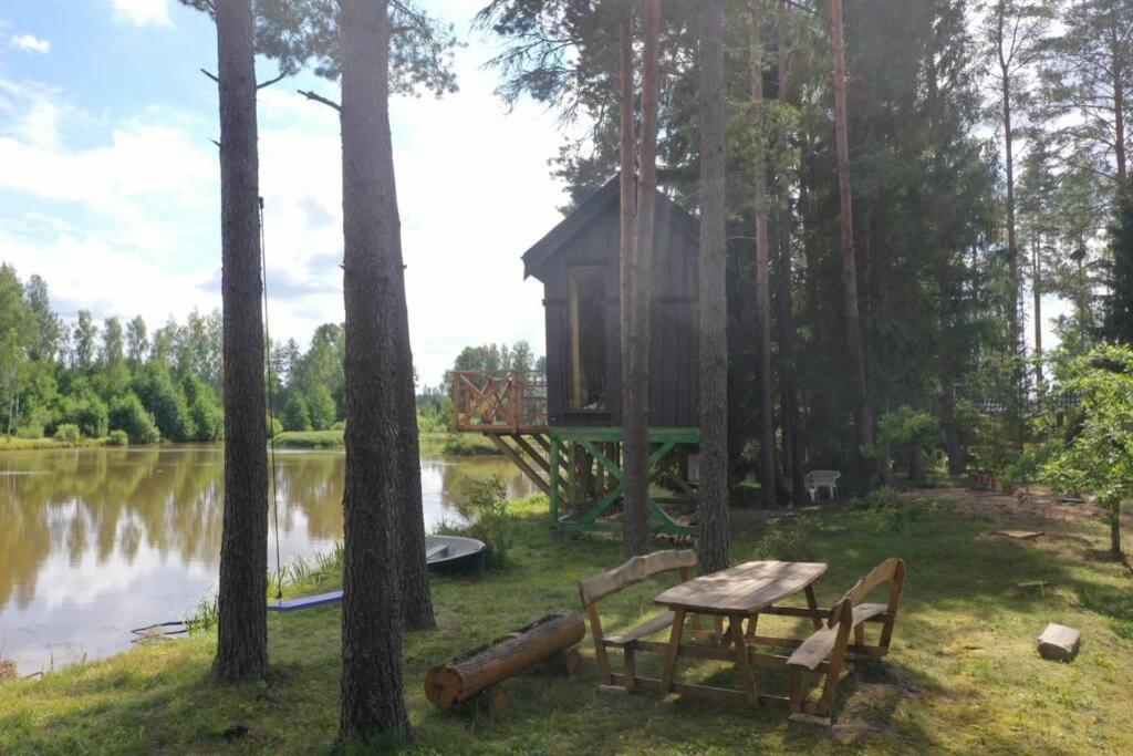 Dragon House In The Tree! Jacuzzi, Sauna ,Cinema,Heated Lici  外观 照片
