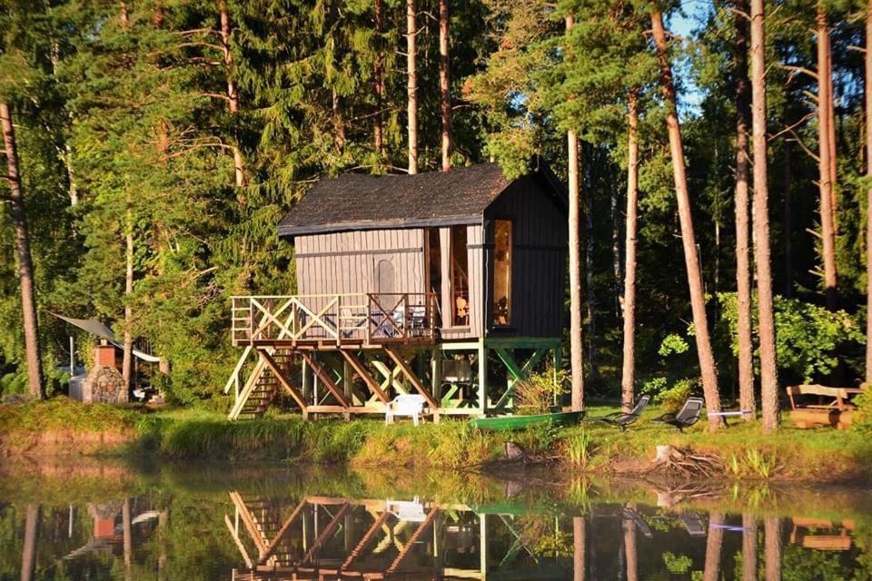 Dragon House In The Tree! Jacuzzi, Sauna ,Cinema,Heated Lici  外观 照片
