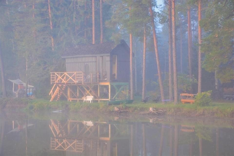 Dragon House In The Tree! Jacuzzi, Sauna ,Cinema,Heated Lici  外观 照片