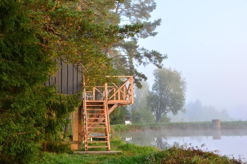 Dragon House In The Tree! Jacuzzi, Sauna ,Cinema,Heated Lici  外观 照片