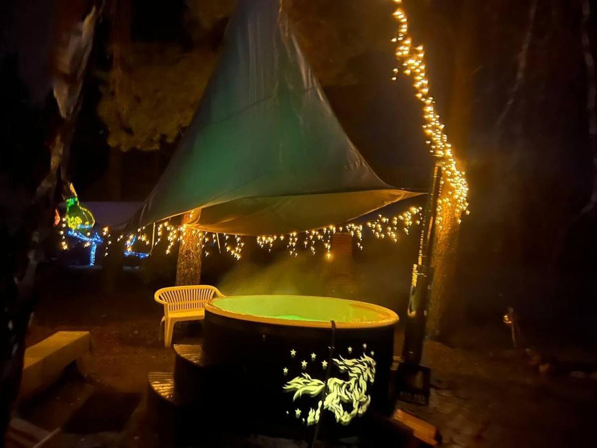 Dragon House In The Tree! Jacuzzi, Sauna ,Cinema,Heated Lici  外观 照片