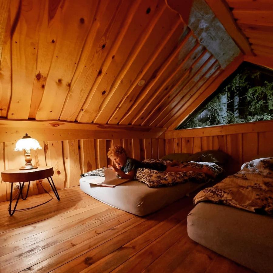 Dragon House In The Tree! Jacuzzi, Sauna ,Cinema,Heated Lici  外观 照片