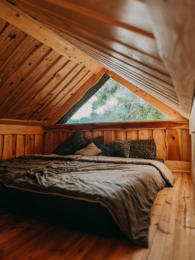 Dragon House In The Tree! Jacuzzi, Sauna ,Cinema,Heated Lici  外观 照片
