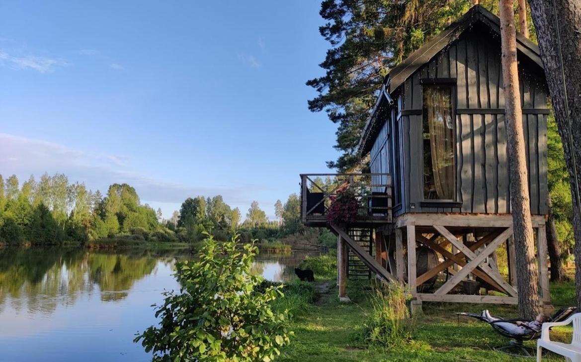 Dragon House In The Tree! Jacuzzi, Sauna ,Cinema,Heated Lici  外观 照片